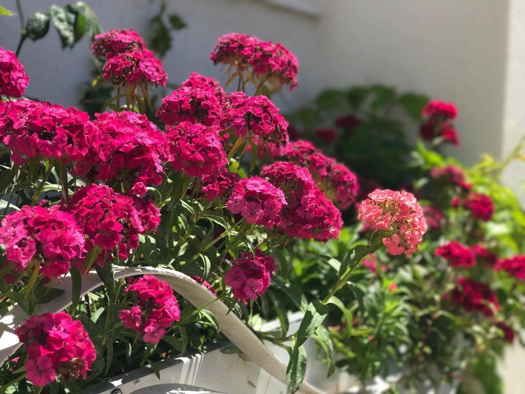 Sunny Bay Apartments Sarande Luaran gambar